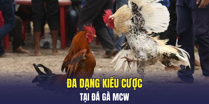 Đa dạng kiểu cược tại đá gà MCW